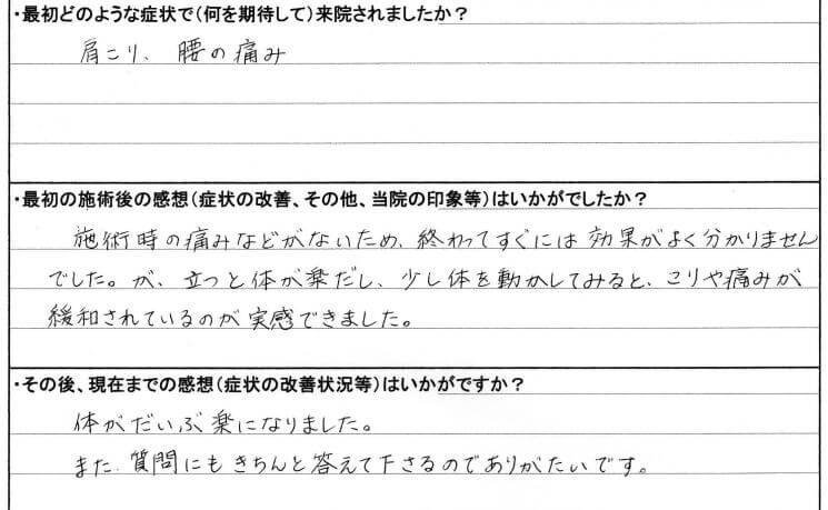 肩こり、腰の痛み