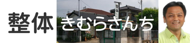整体きむらさんち